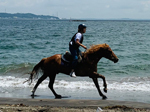 趣味は乗馬とサーフィン。飲み会も大好き。