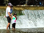 子どもと一緒に川で水草やメダカとり！