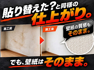 自分自身の力を信じてください！そしてこのビジネスで大きく成長していってください！