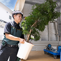 植物の知識はゼロの状態からスタート。