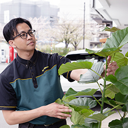 緑を触っている時間が好き。