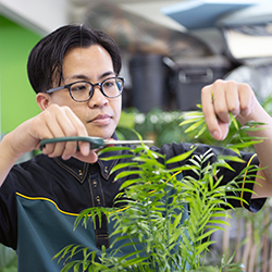 植物についてお客様と語り合う、