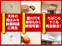 内装業界を考える方は、聞いて損はありません。是非説明会で質問ください