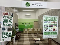 女性1人でも立ち寄りやすい空間が特徴の店舗デザインで、潜在ニーズを引き出します!