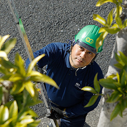 植木と言うか、植物にまったく興味がない私