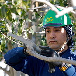 開業初月から会社員時代の月収をはるかに