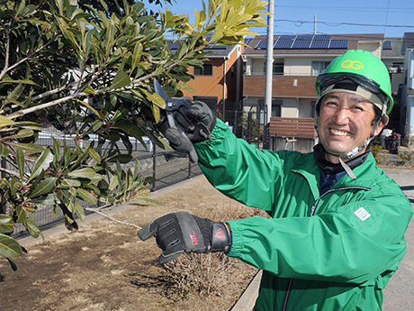 植木カットデザイナー