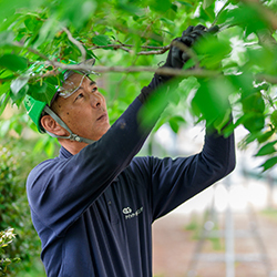 年収も働き方も自分次第！そんな自由度に