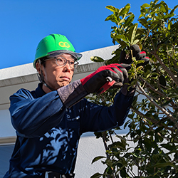 知識ゼロから3ヶ月で、案件は月30件超に。