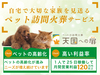 天国への扉/カーチェンジA1株式会社