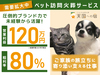 天国への扉／カーチェンジA1株式会社