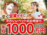 日本ペットシッターサービス／株式会社ラニマルのフランチャイズ・独立開業