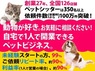 日本ペットシッターサービス／株式会社ラニマルのフランチャイズ・独立開業
