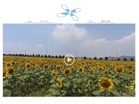 公式HPではビジネスの強み、収益モデル、ドローンで撮影した映像などを丁寧に紹介