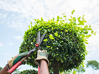 丁寧な研修と、OJTでもしっかり技術は身につきます。