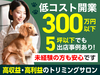 犬のトリミングサロン　I’s Dog【アイズドッグ】／株式会社I One
