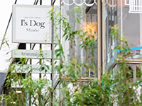 愛知県を中心に直営店を多数運営。今後は全国でFC展開を進めていきます。