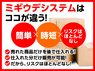 ミギウデシステム/株式会社DREAM PONYのフランチャイズ・独立開業