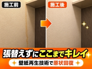 株式会社壁紙革命
