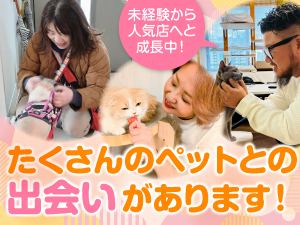 【集客も本部にお任せ】仕組みで稼ぐ、地域で愛され続ける安定のペットシッター事業