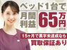 ナスサロ／合同会社ナスサロのフランチャイズ・独立開業