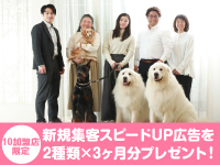 未経験からペットシッターを目指す方のための説明会を開催中！