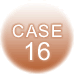 case16